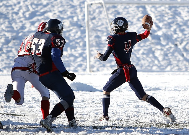 帕尔默在新 帕尔默在新