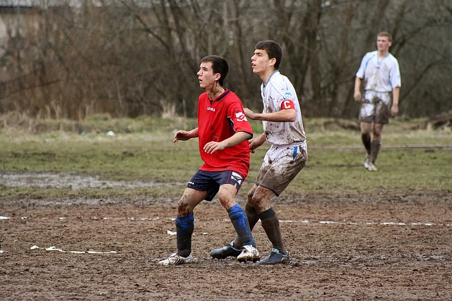 布莱顿的 布莱顿的