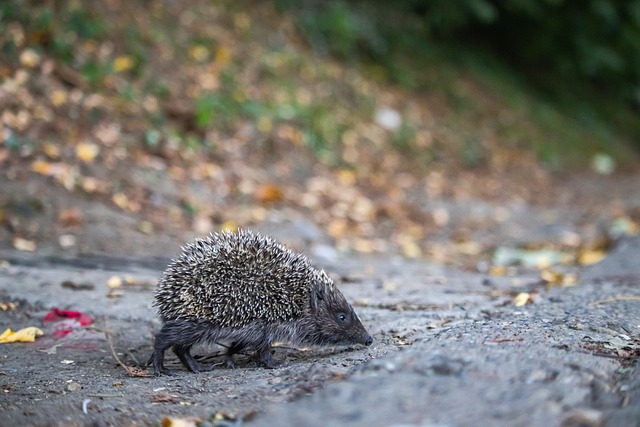 通过这样的 通过这样的