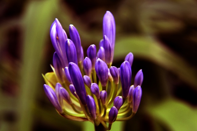 在保持竞技 在保持竞技