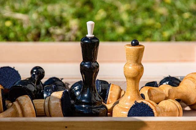 视的关键人 视的关键人