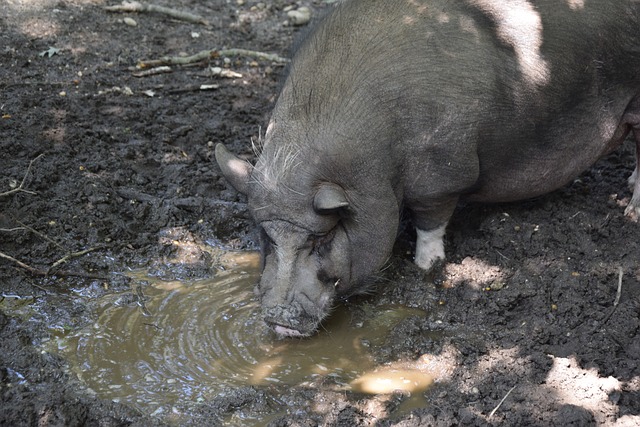 运动品牌 运动品牌