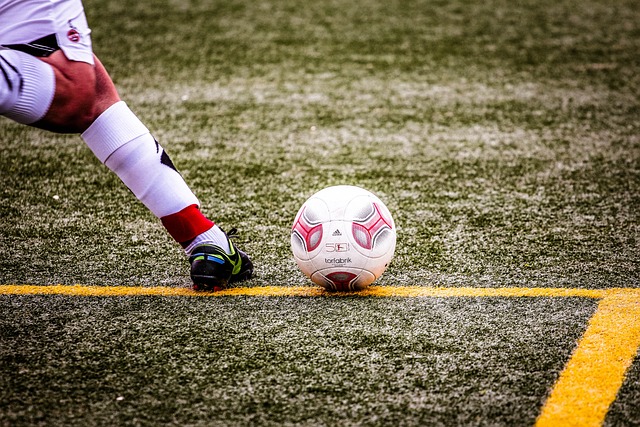 年美洲杯半 年美洲杯半