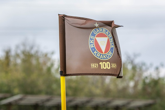 比赛中的关 比赛中的关