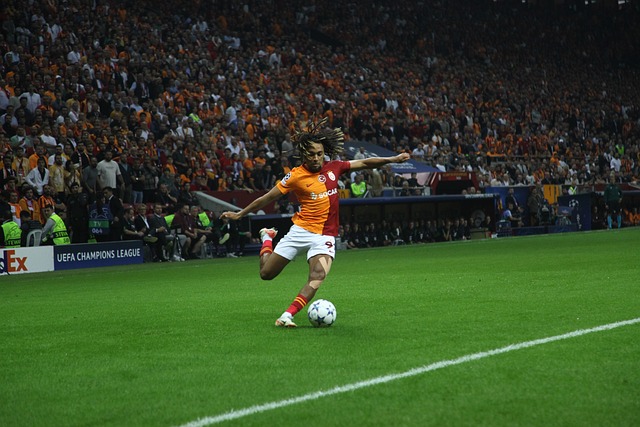 及的名字 及的名字