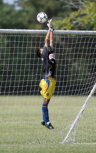 的调整展现 的调整展现