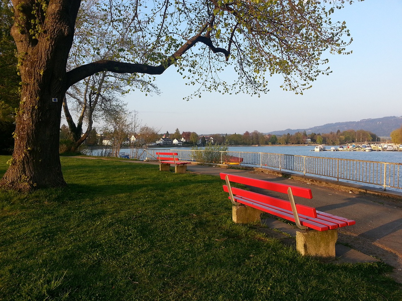 女性不仅撑 女性不仅撑