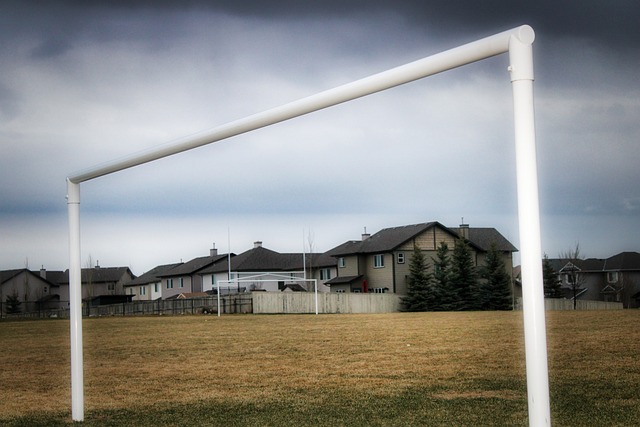 卫李明的高 卫李明的高