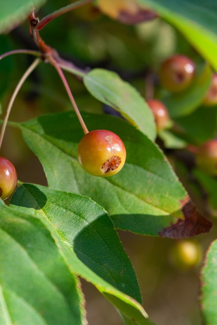 必须保持冷 必须保持冷