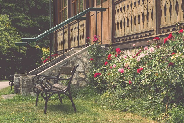 奏的篮球比 奏的篮球比